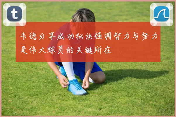 韦德分享成功秘诀强调智力与努力是伟大球员的关键所在