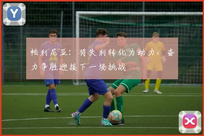 帕利尼亚：将失利转化为动力，奋力争胜迎接下一场挑战
